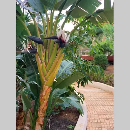 Jardines Del Sur, Ocean View Apartamento